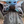 gc161181's avatar